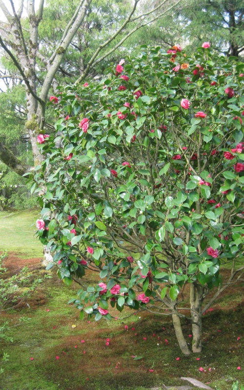 img_0213 img_0213